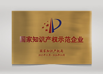 國家知識(shí)產(chǎn)權(quán)示范企業(yè)