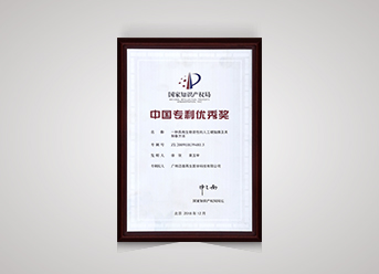 中國專利優(yōu)秀獎(jiǎng)